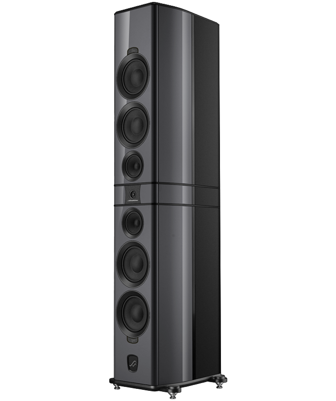 Dark Gray / Standard Trim