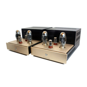 Canary Audio - M120 Monoblock Amplifiers