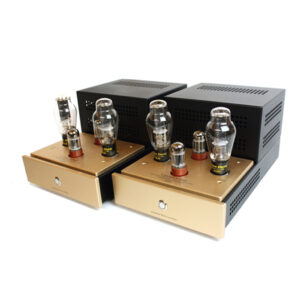 Canary Audio - M330 Monoblock Amplifiers