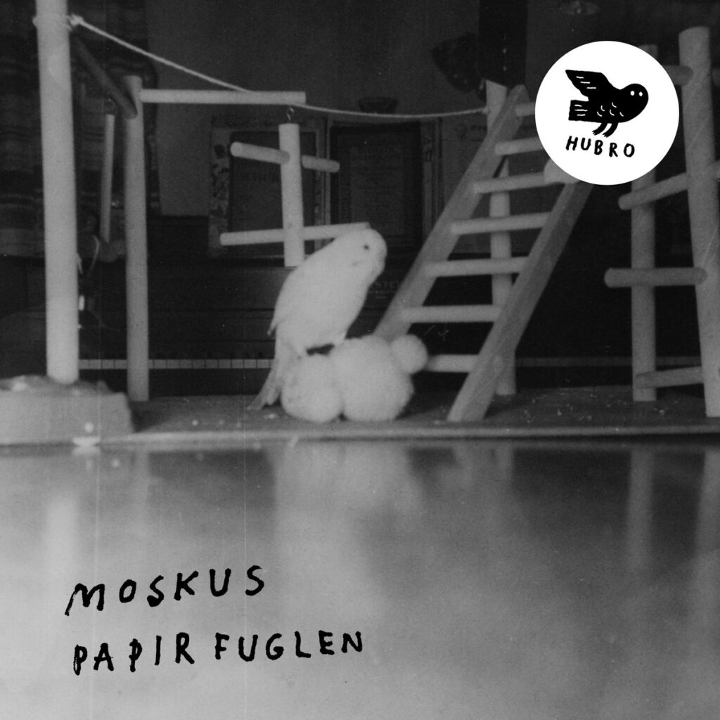 Moskus - Papirfuglen