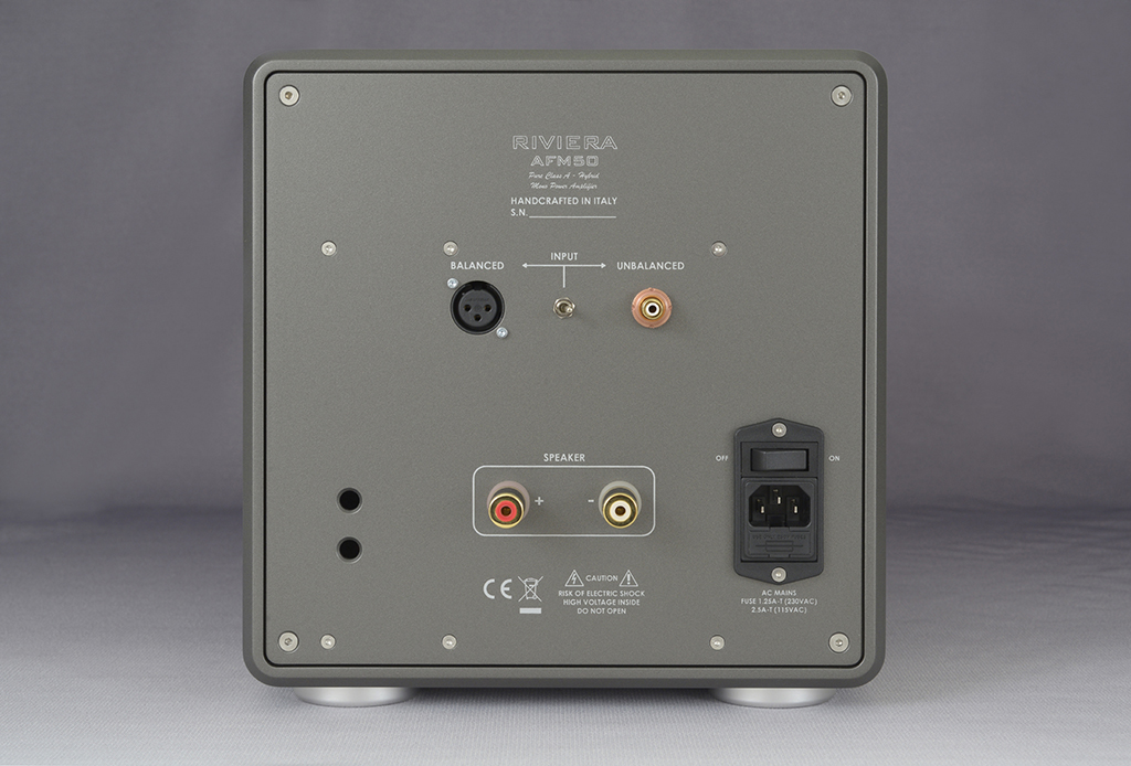 Riviera Audio Labs - AFM50 Mono Power Amplifier Anthracite rare Riviera Audio Labs - AFM50 Mono Power Amplifier Anthracite rare