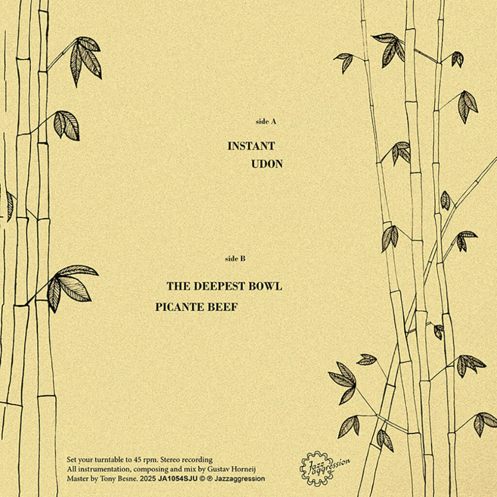 Organic Pulse Ensemble - Bamboo Noodles